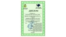 2014-2015 Воронцова Анастасия, Рахматова Виолетта, 7л, Нобелевские чтения